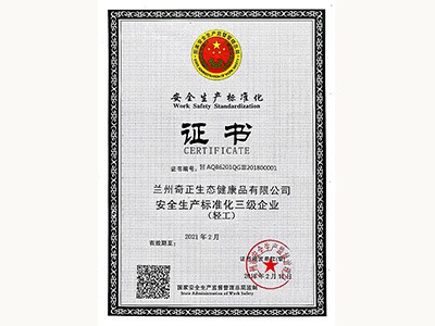 安全生產(chǎn)標(biāo)準(zhǔn)化三級證書(2018.2)